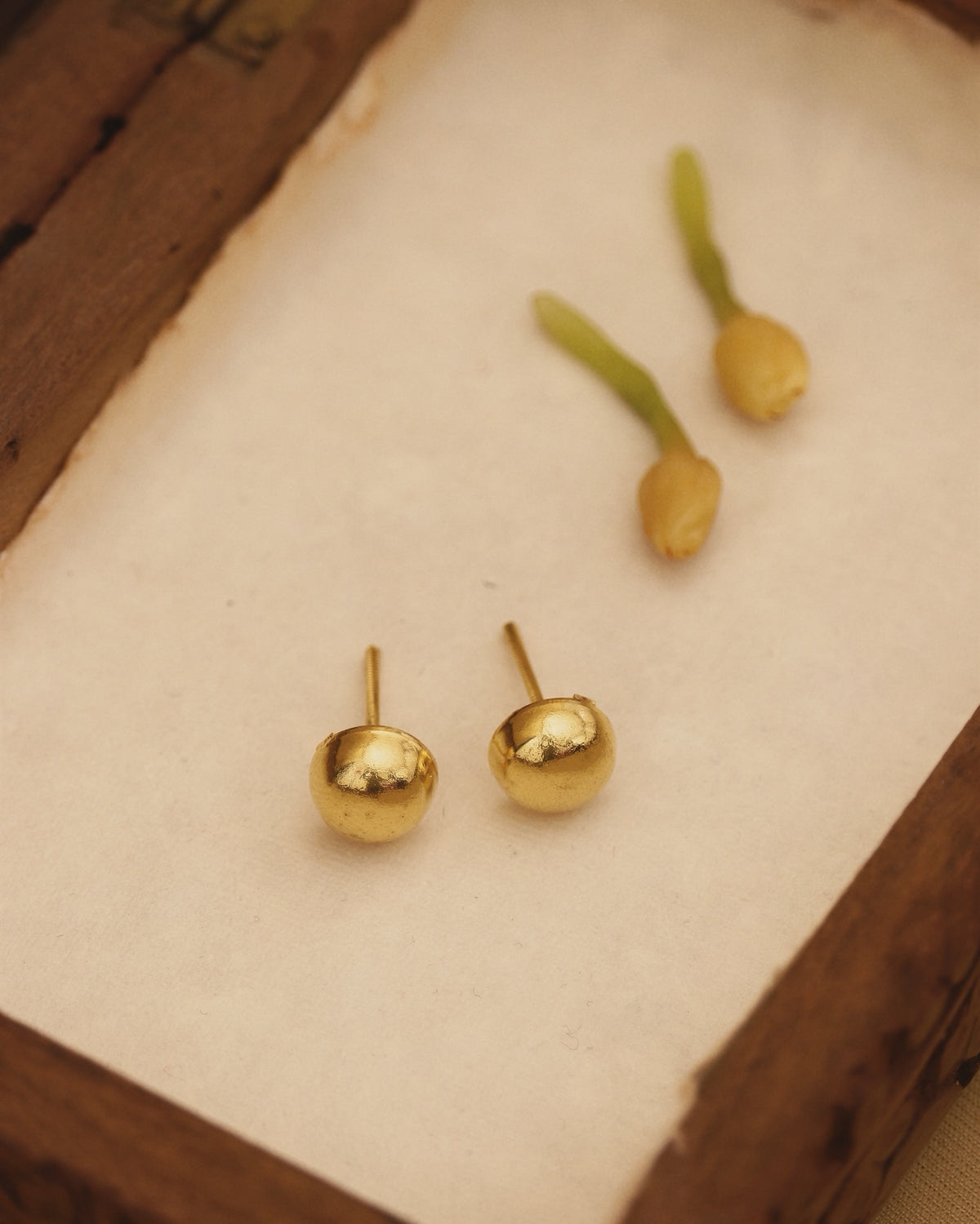 Goli Studs