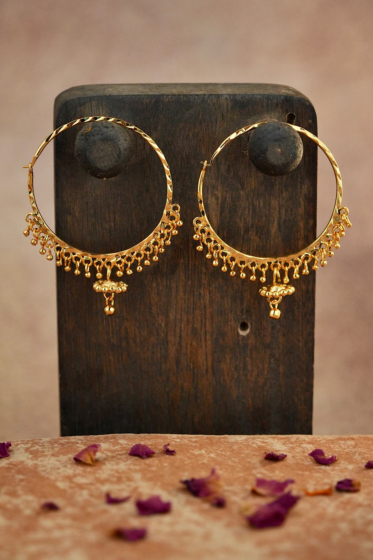 Roshni Waliyaan