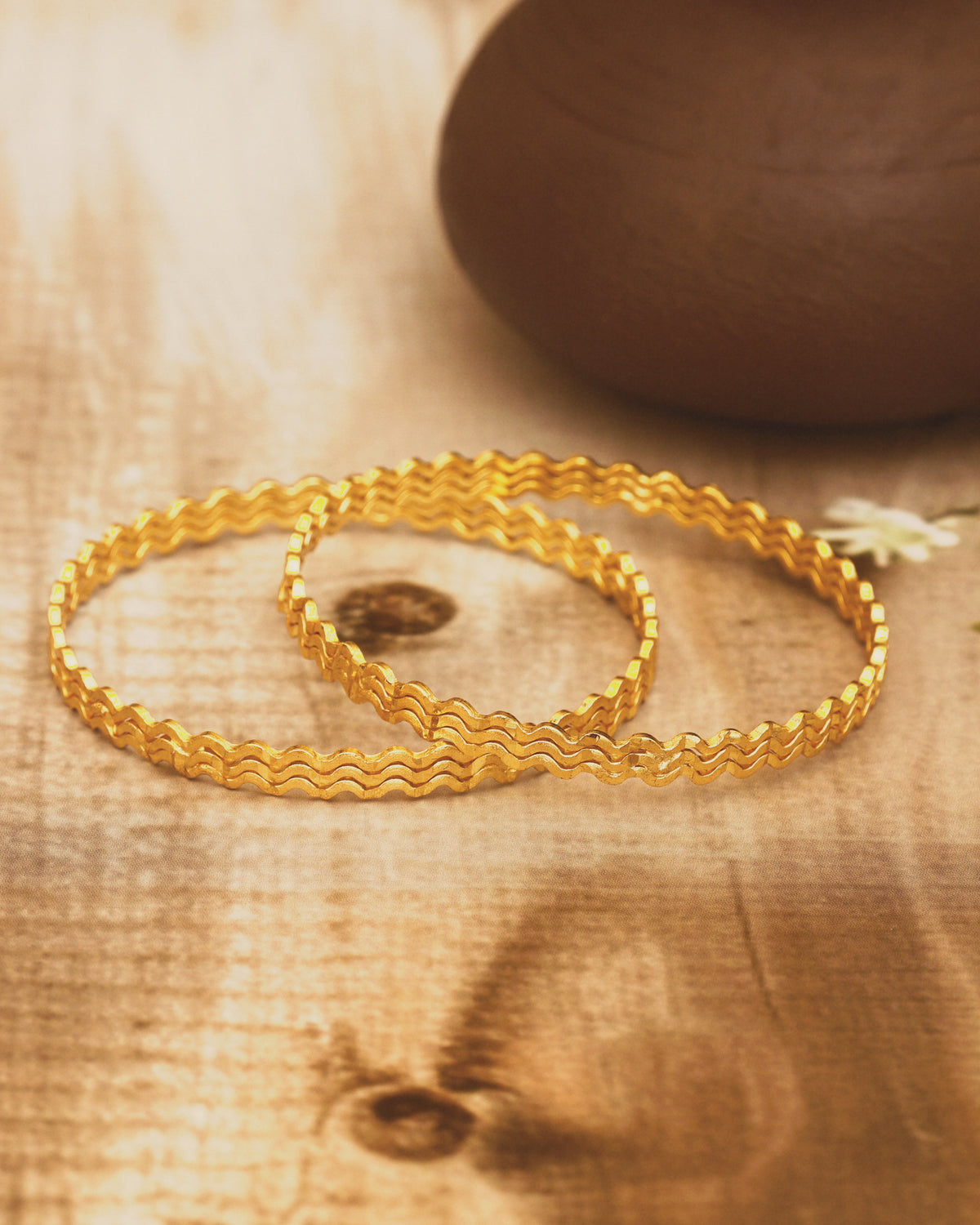 Rina Bangle Pair