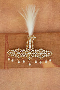 Maharaja  Patiala Kalgi