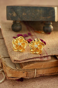 Star Studs