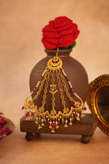 Chandni Passa