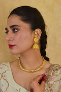 Sonam Hasli Set